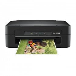 epson EXPRESSION HOME XP-100 SERIES musteet